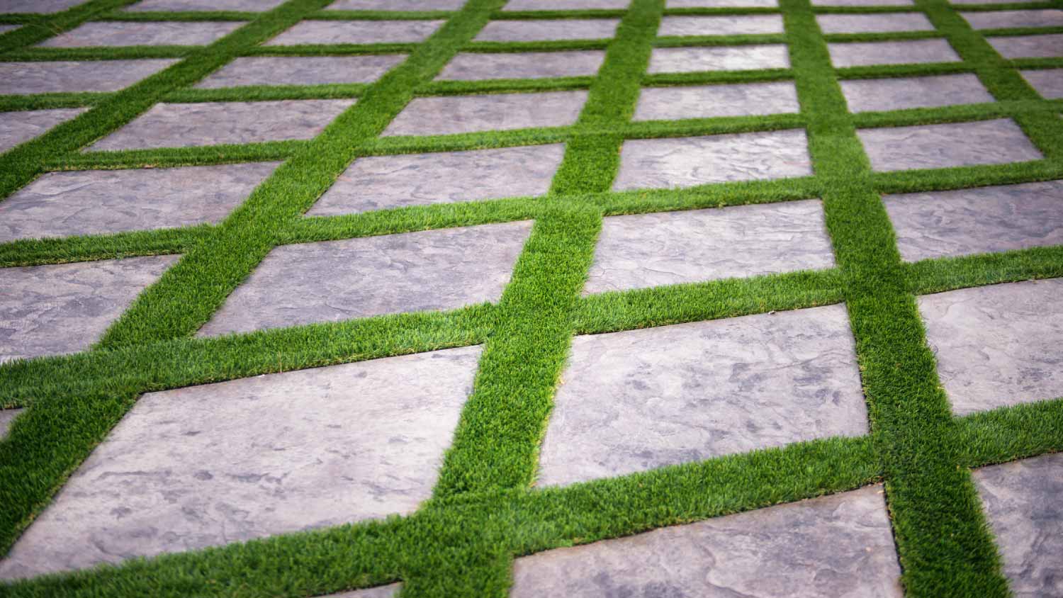 Grass and paving stones