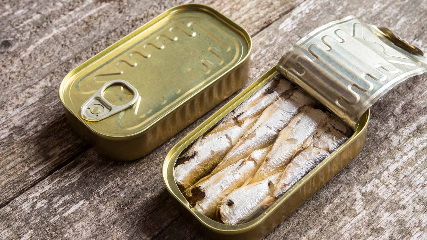 None Canned sardines in olive oil