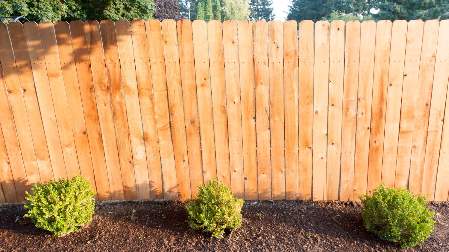 None Wooden fence in backyard