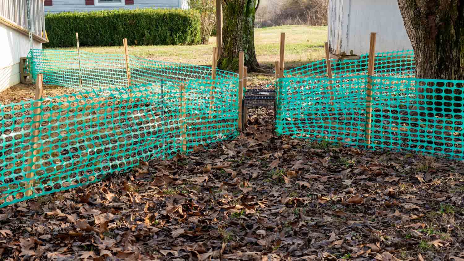 None possum fence installation