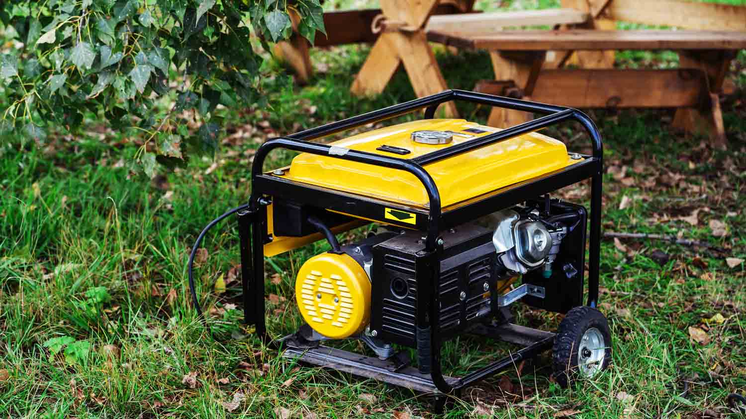 portable power generator on lawn