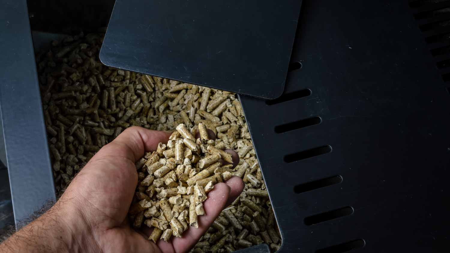 None Hand holding wood pellets