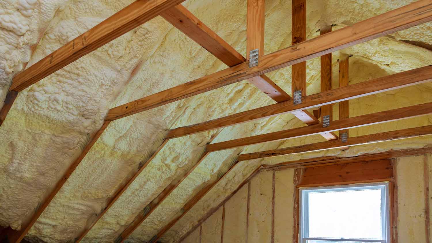None insulation material in attic