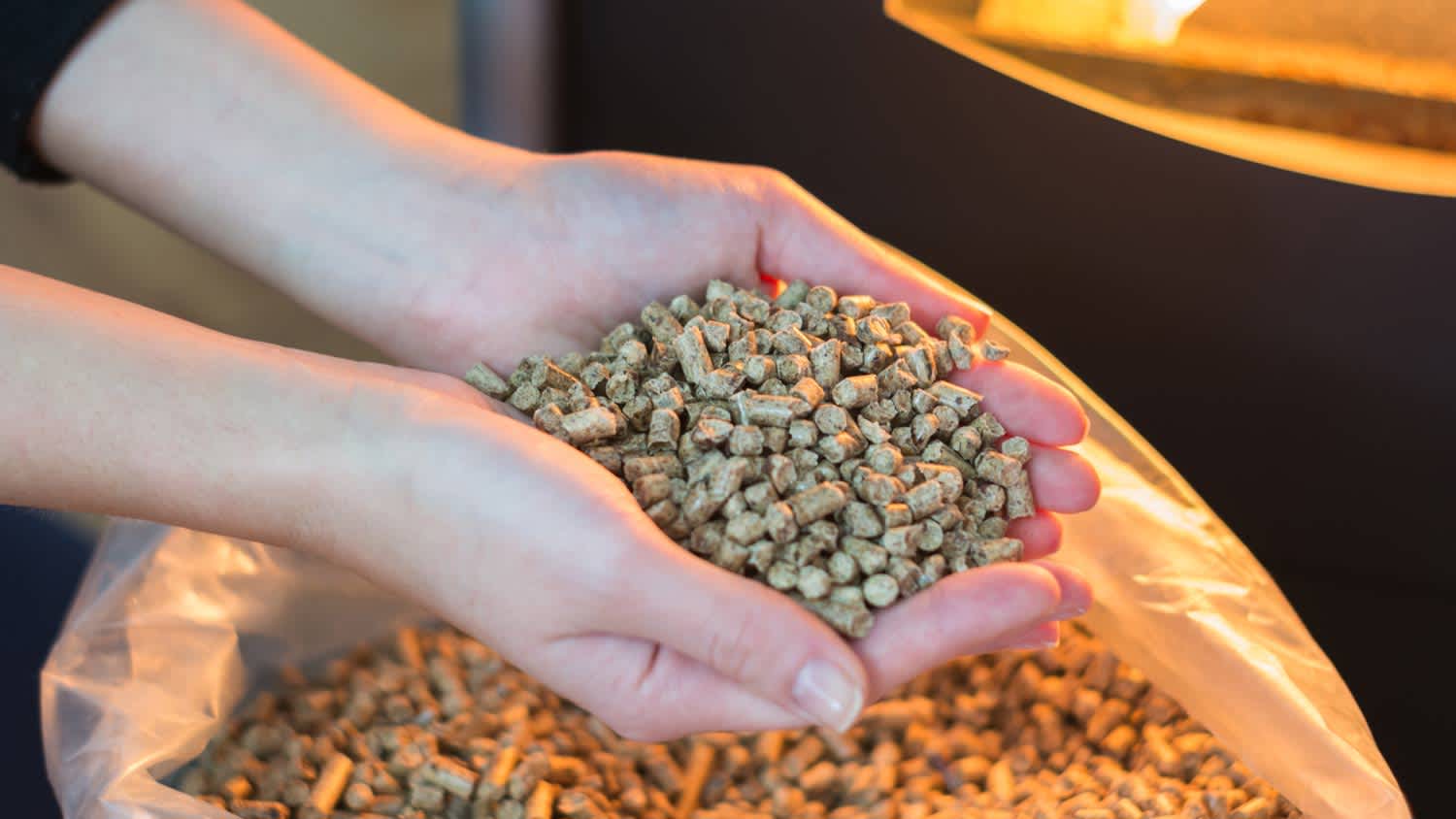 None woman holding wood pellets