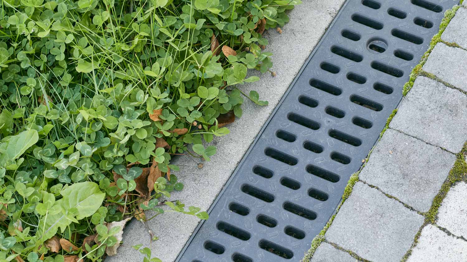 None Rainwater drainage on the street