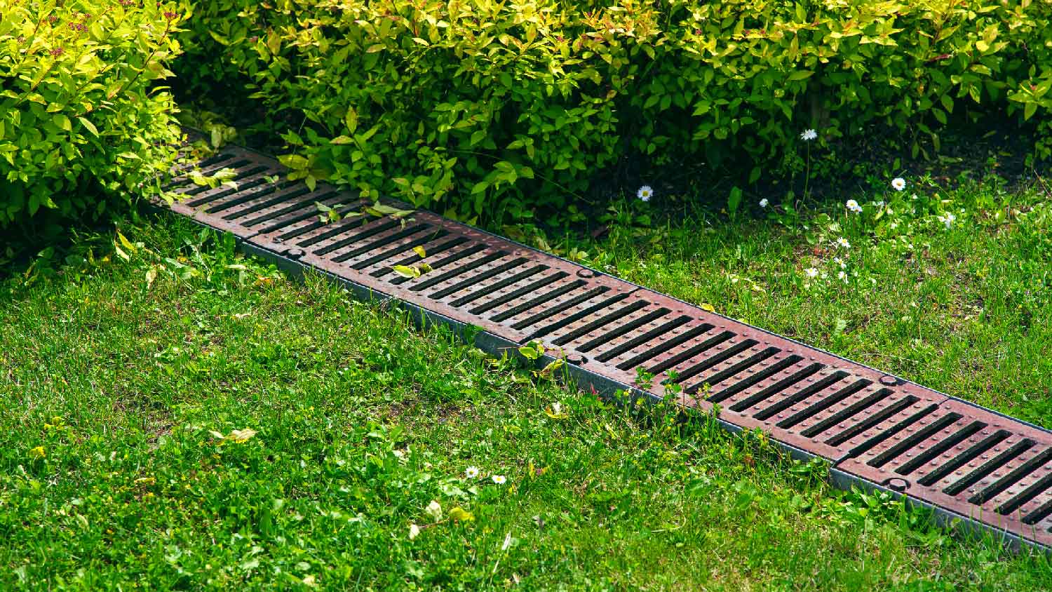 A french drain