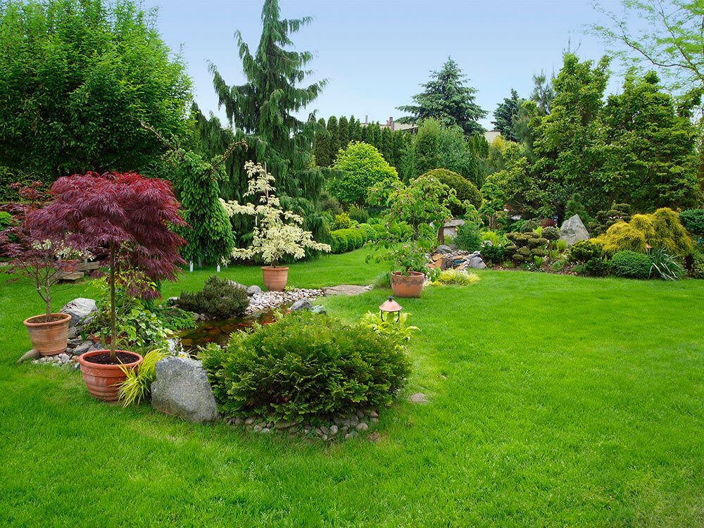 None Beautifully landscaped yard