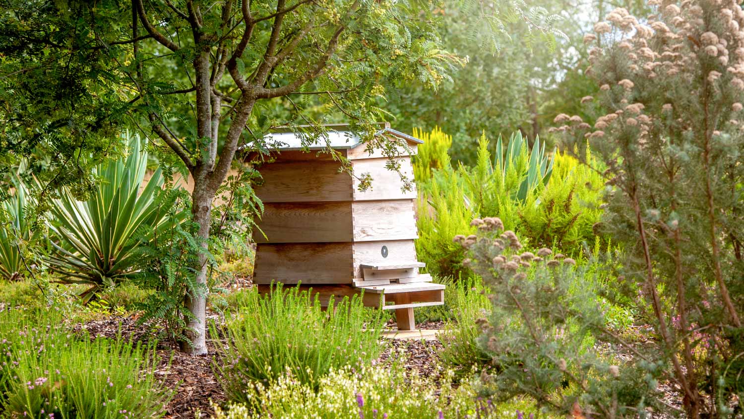 None A wooden bee hive