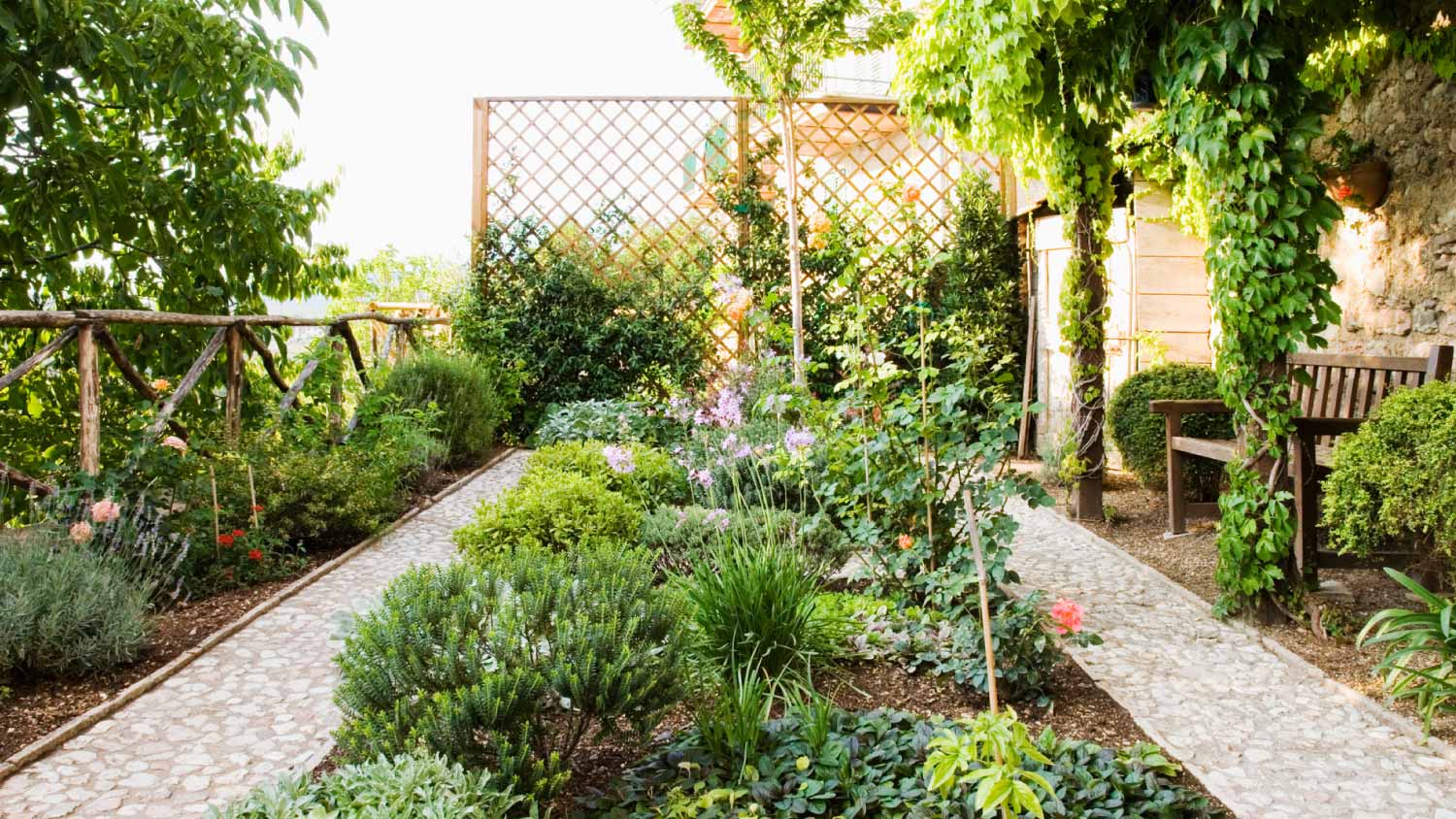 None A beautiful backyard garden