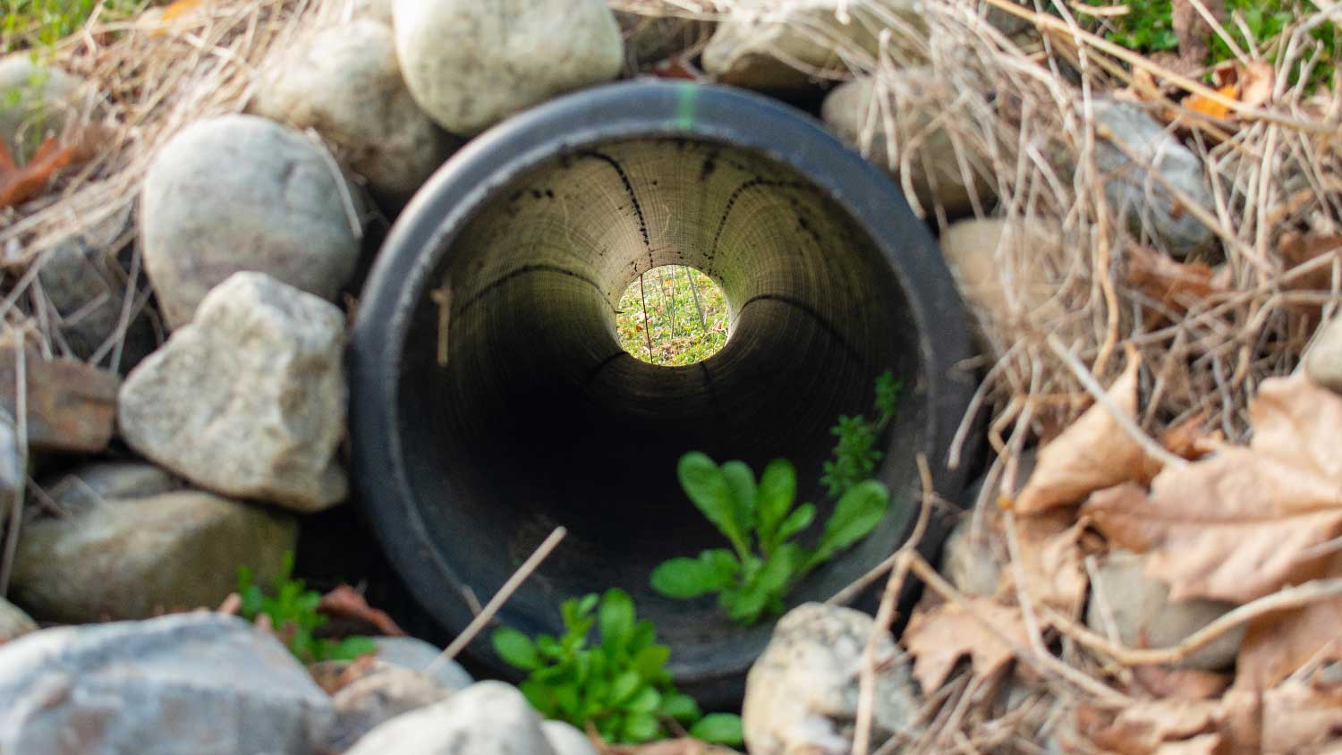 None An exit point of a french drain