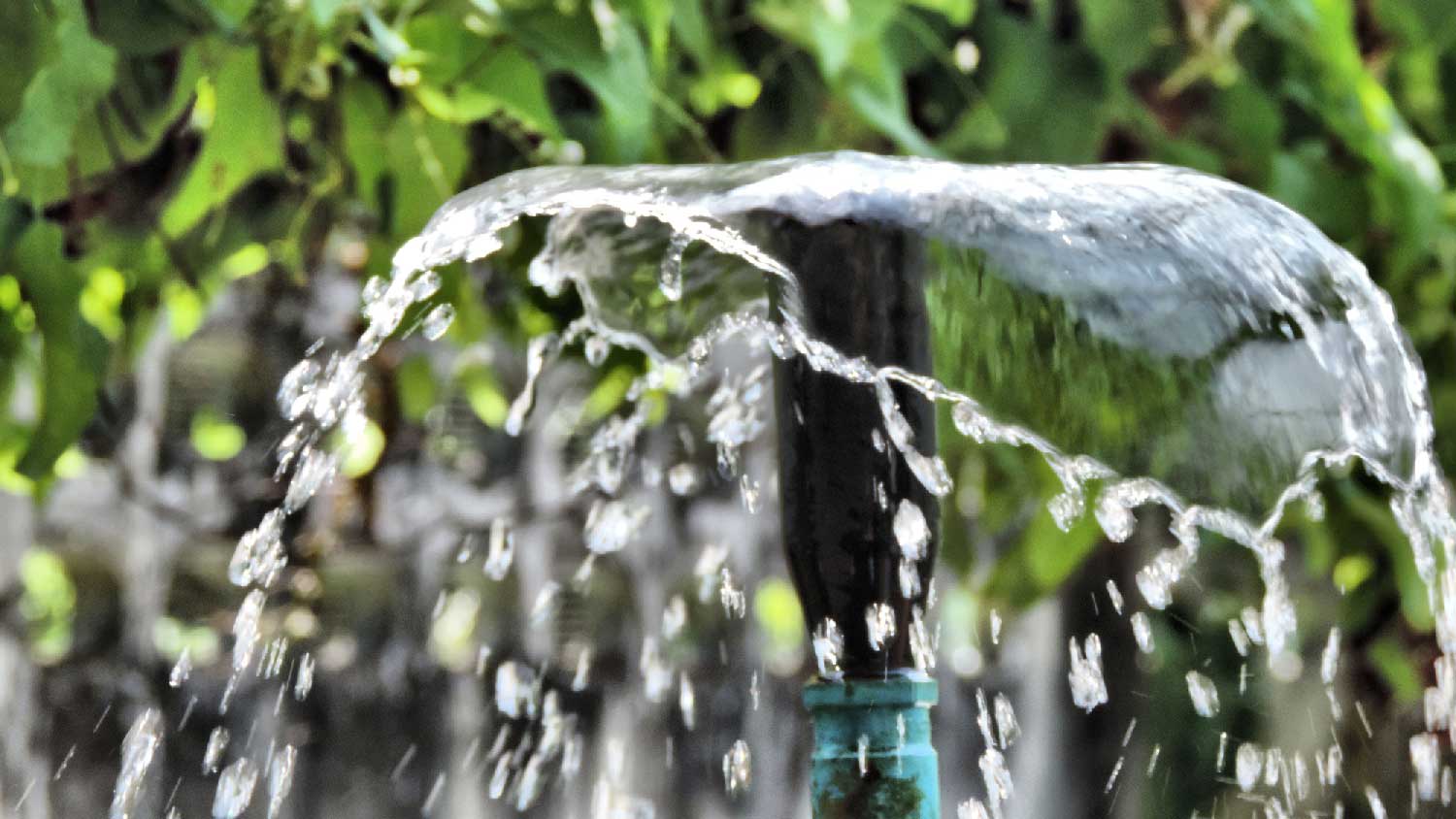 None Flood sprinklers
