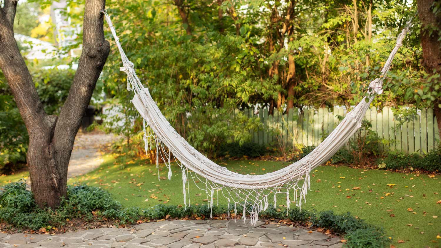 None outdoor hammock hanging from trees