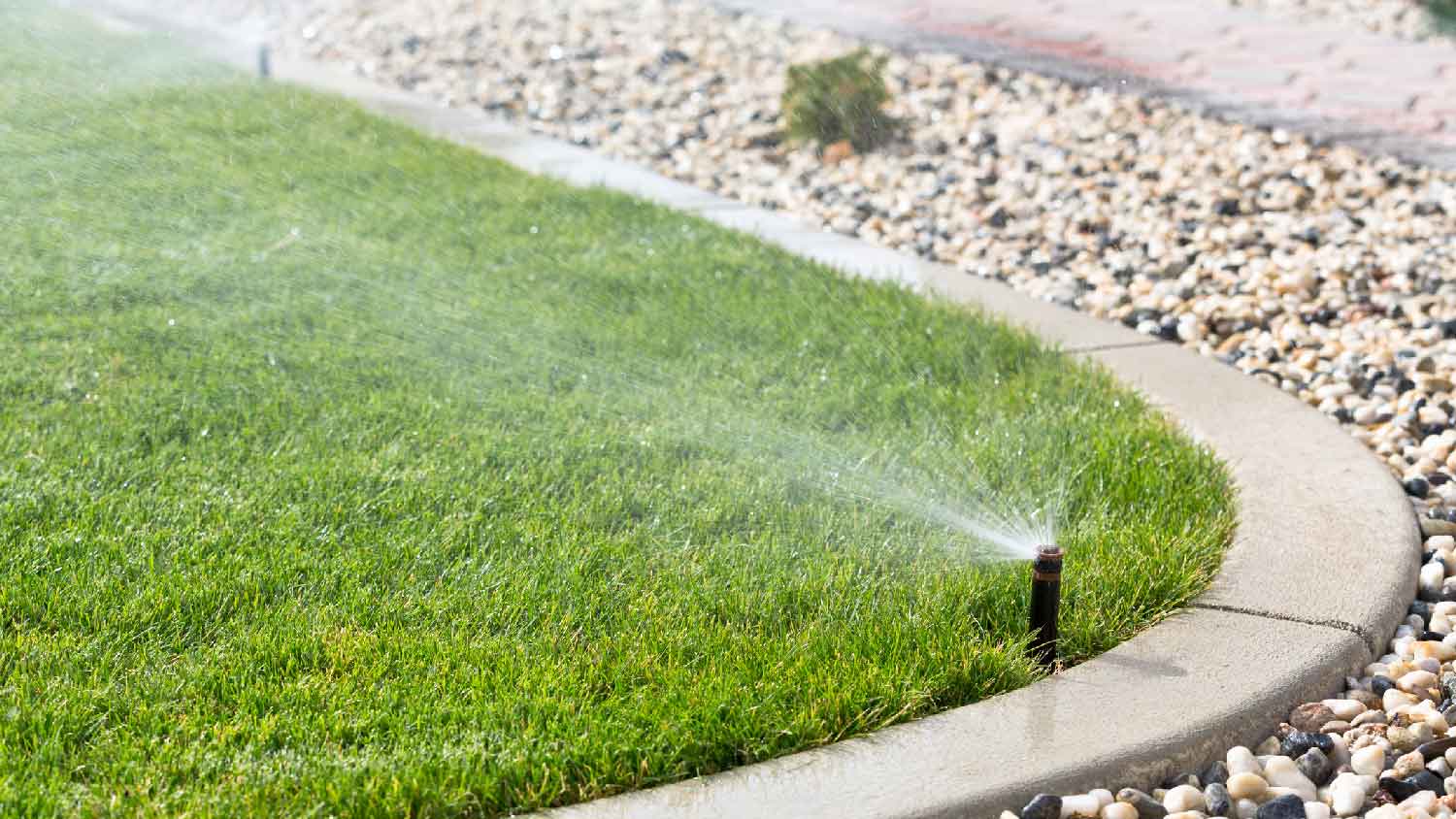 A sprinkler watering a garden