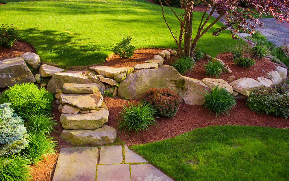 None Stone stairs with bushes