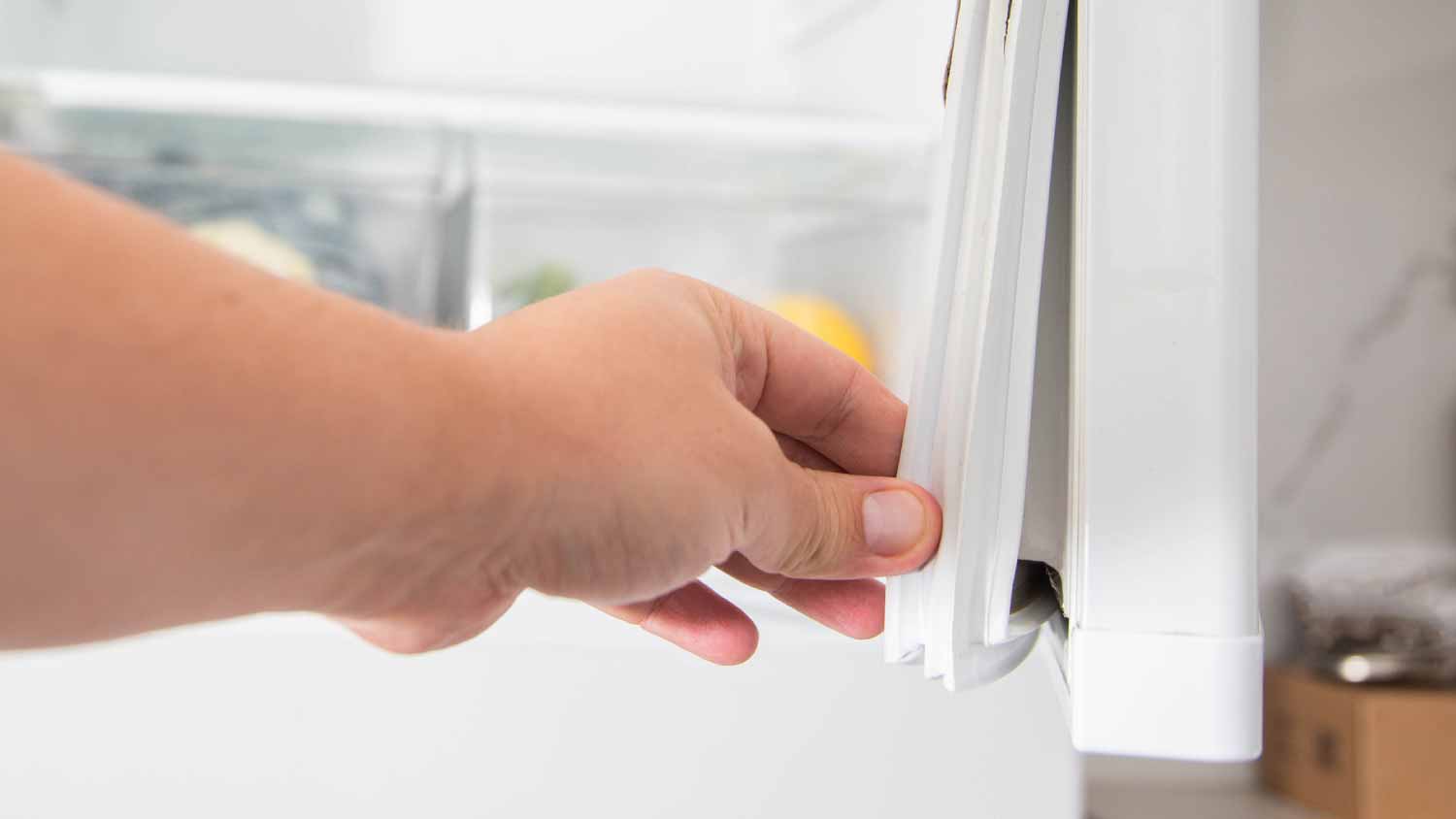 Man replacing sealing rubber on refrigerator