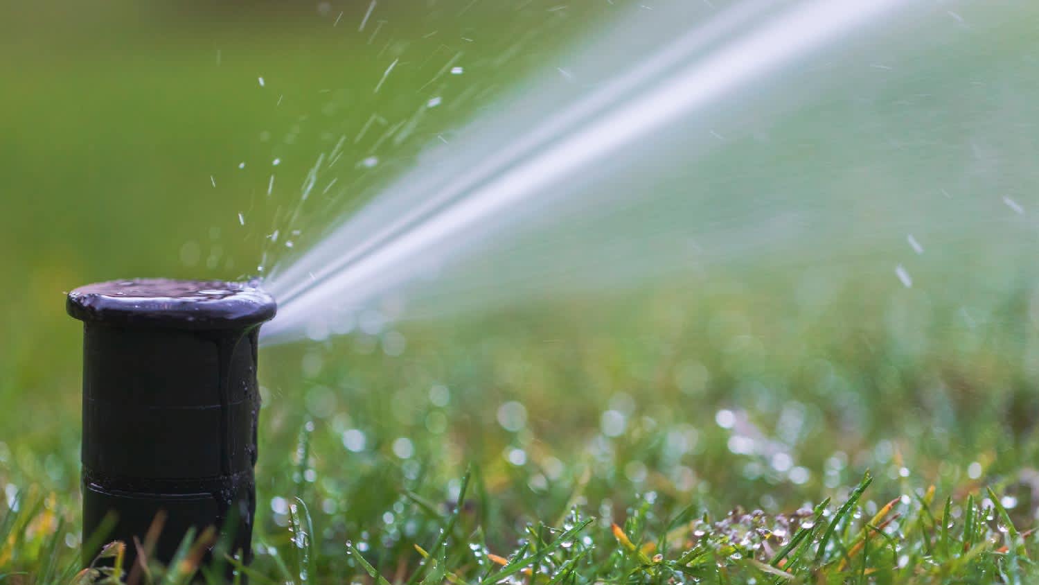 None Fixed sprinklers
