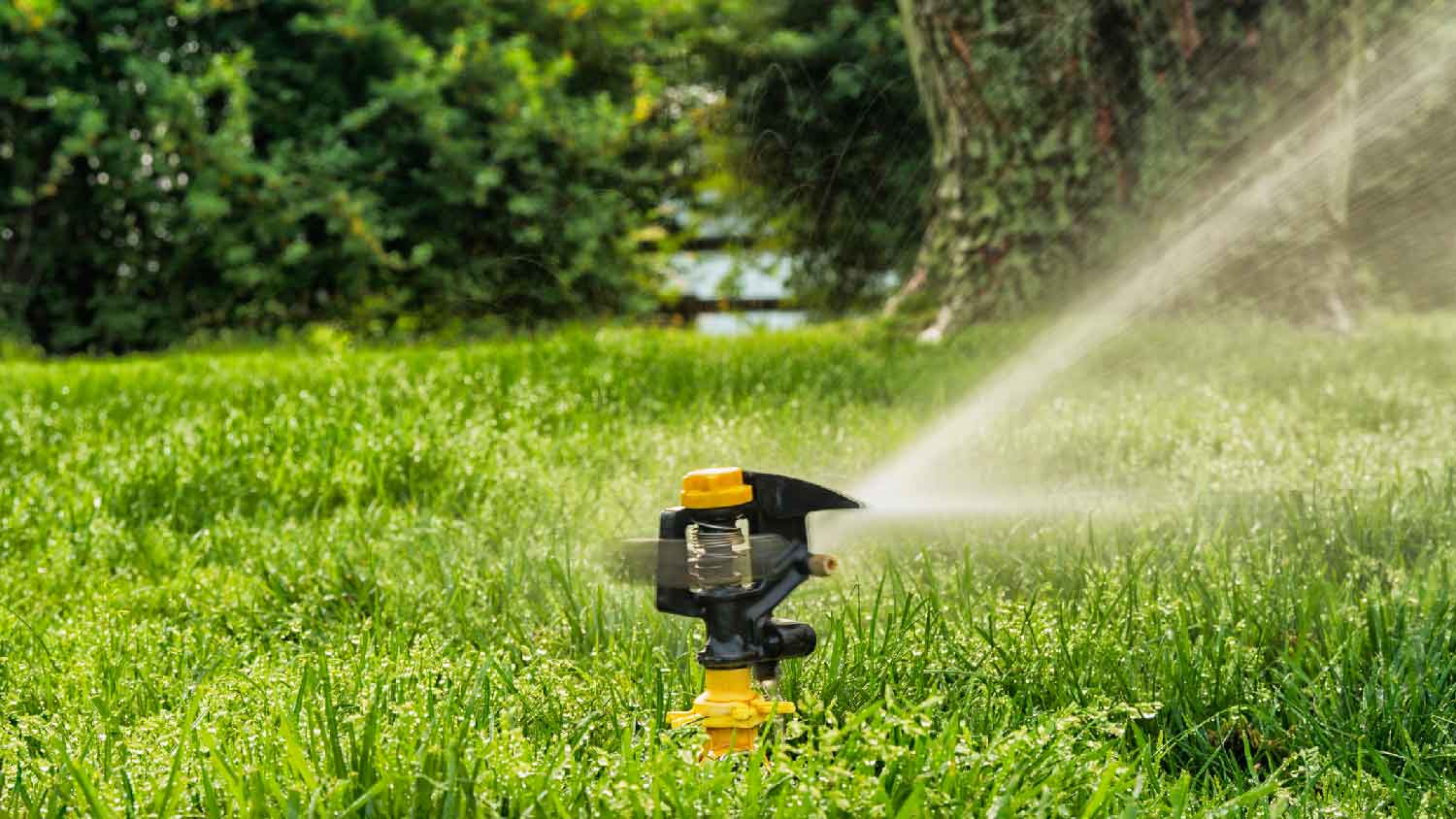 None Impact sprinklers