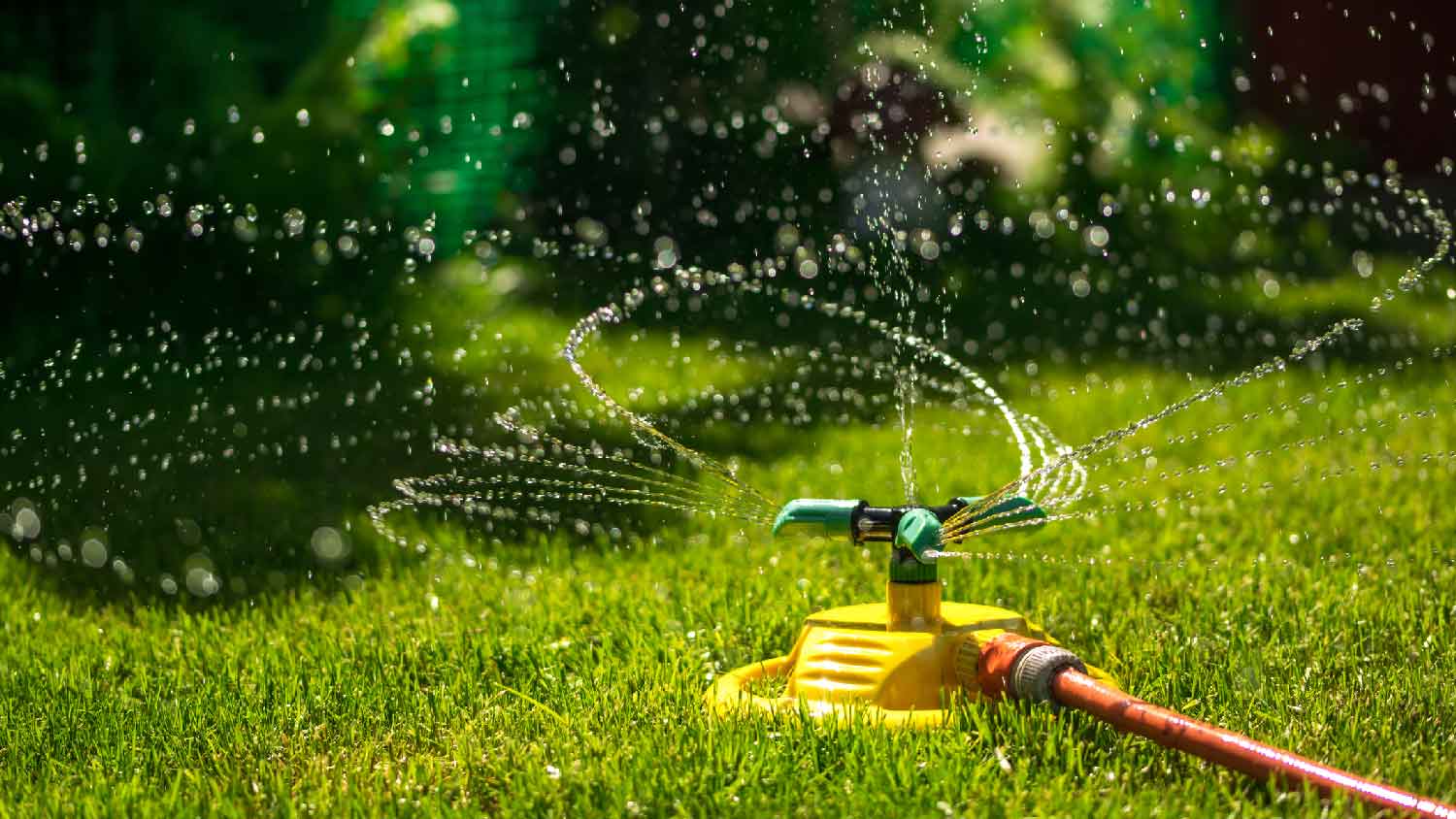 None Rotary sprinklers