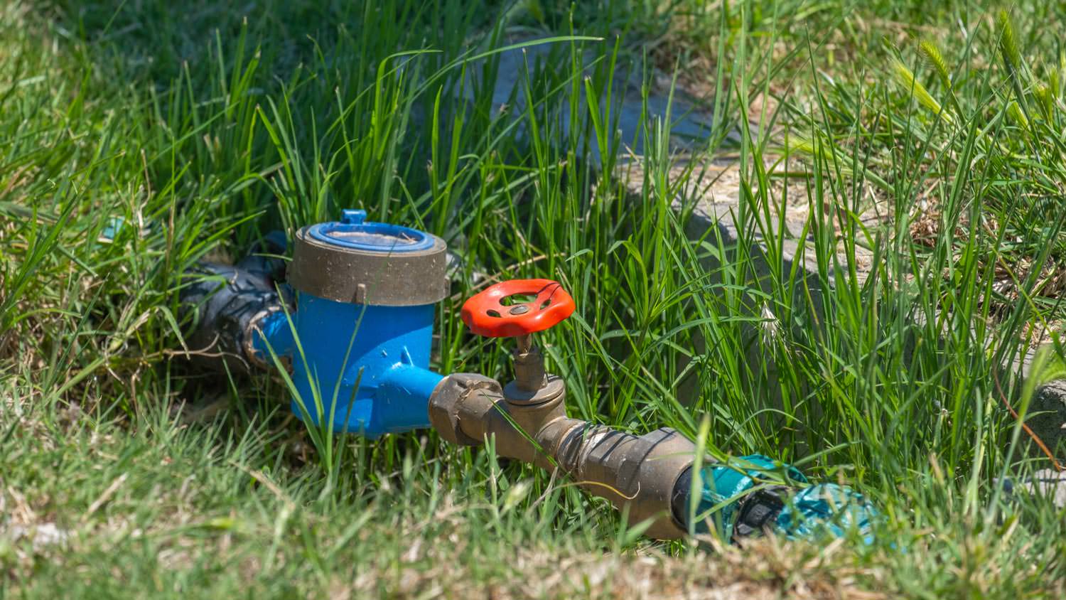 A water valve in a garden