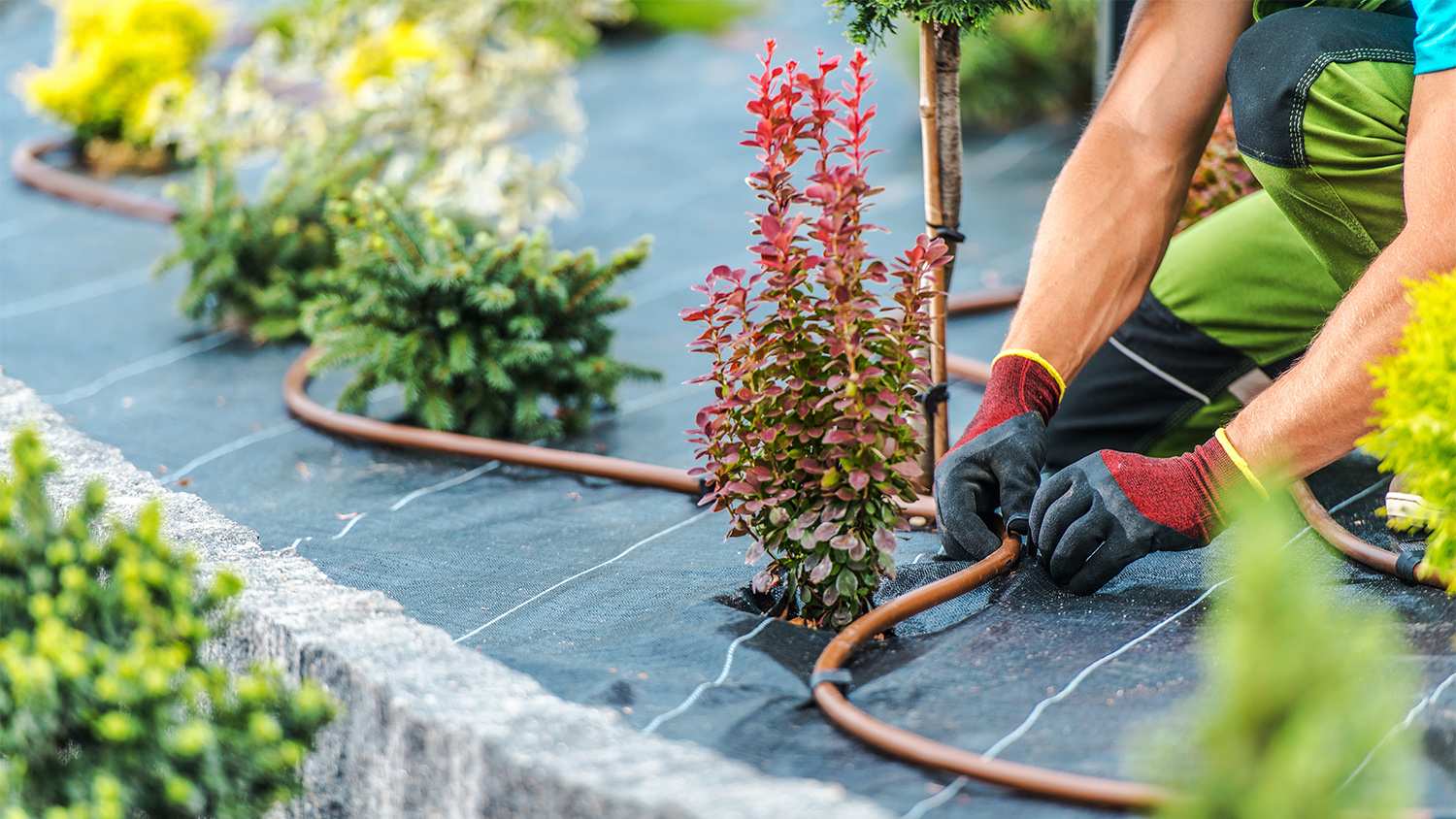 None Technician installing Garden Irrigation System