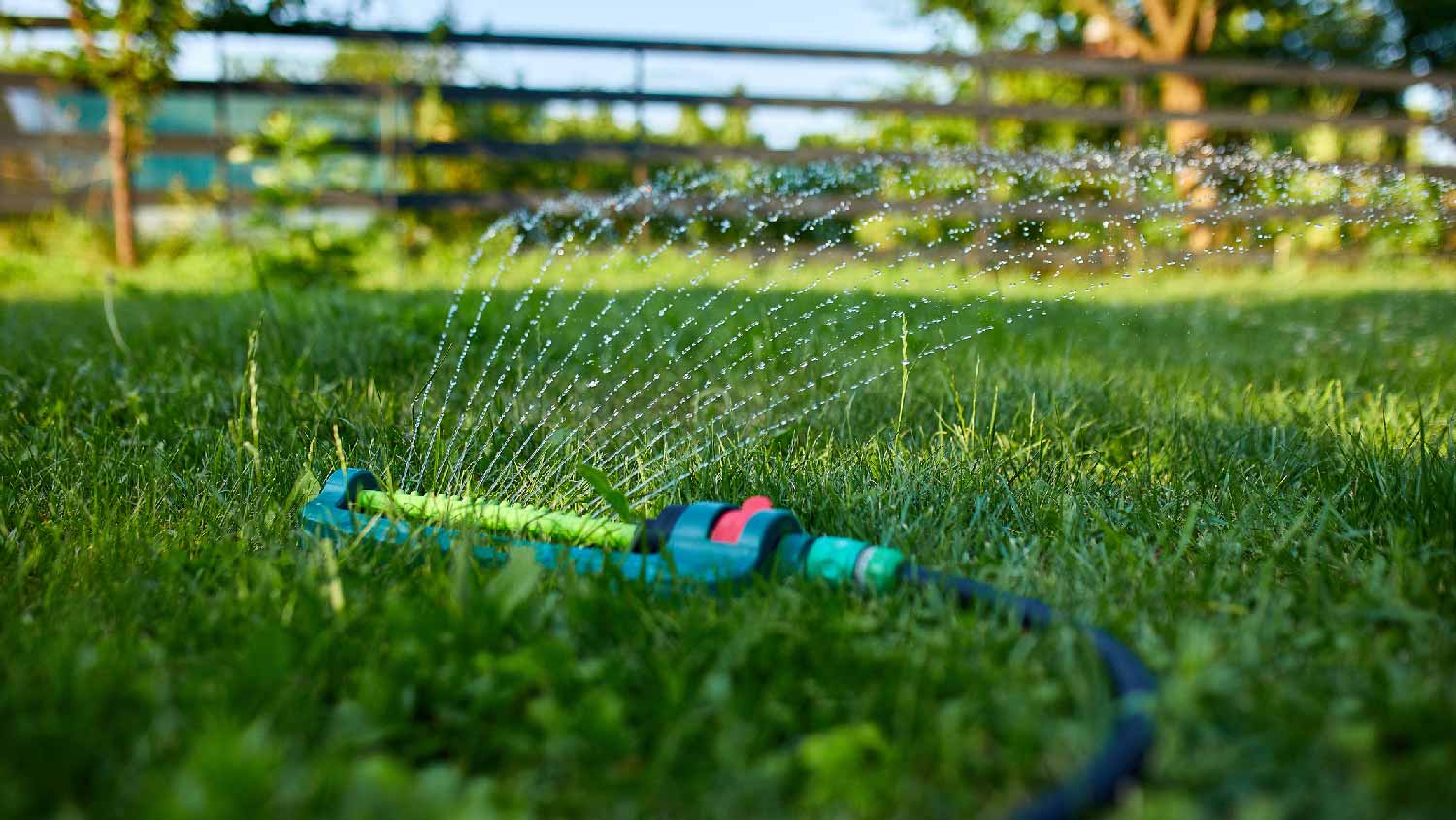 None Oscillating Sprinklers