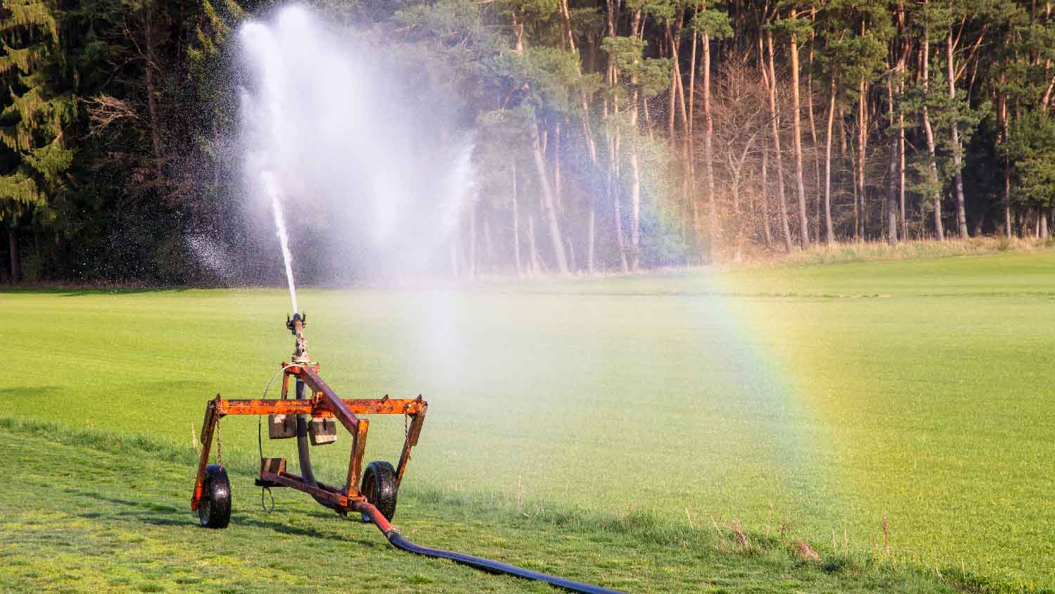 None Travelling sprinklers