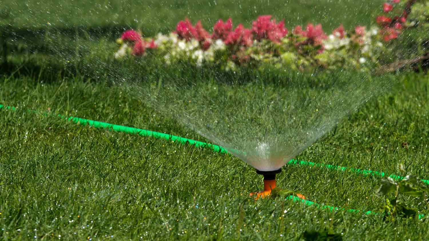 None water sprinkler in flower garden