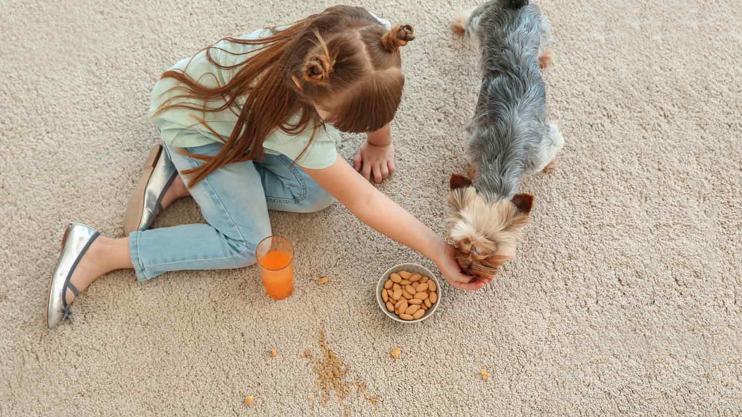 little girl and dog making a mess on carpet