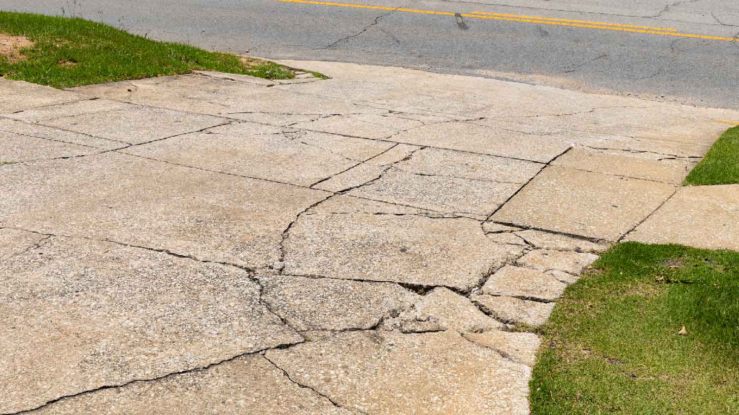 None A cracked concrete driveway