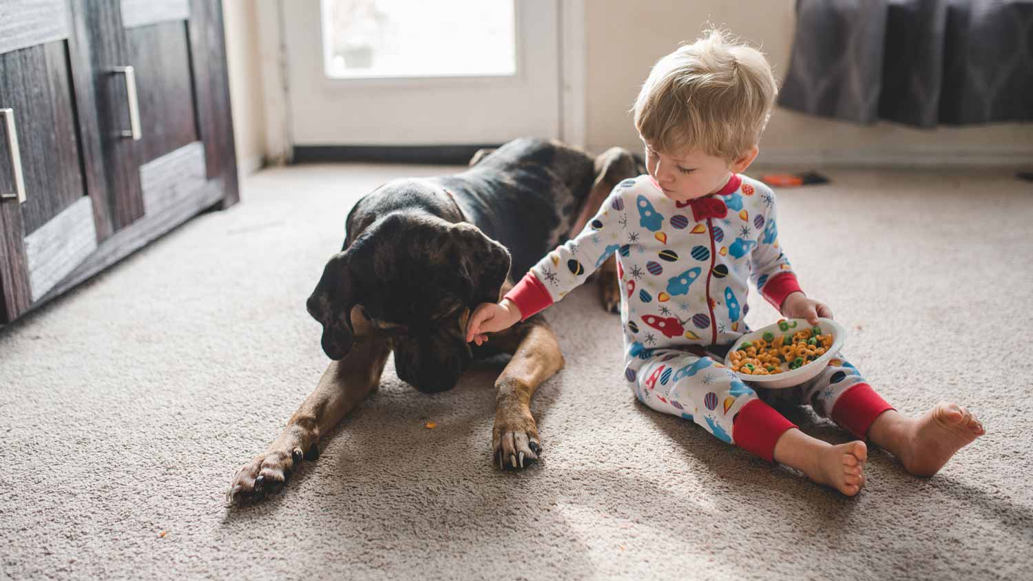toddler feeding dog on carpet