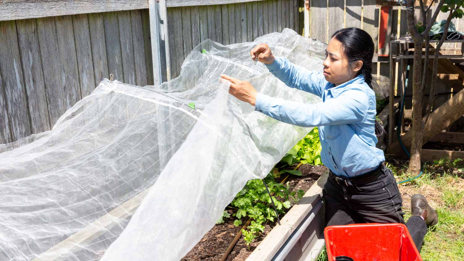 Woman checking her vegetables