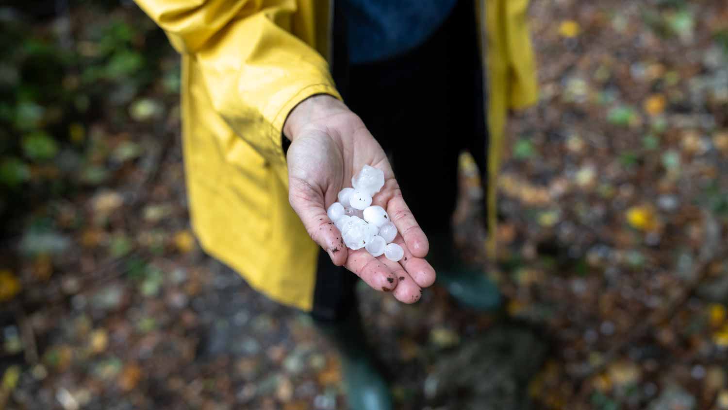 Woman holding ice