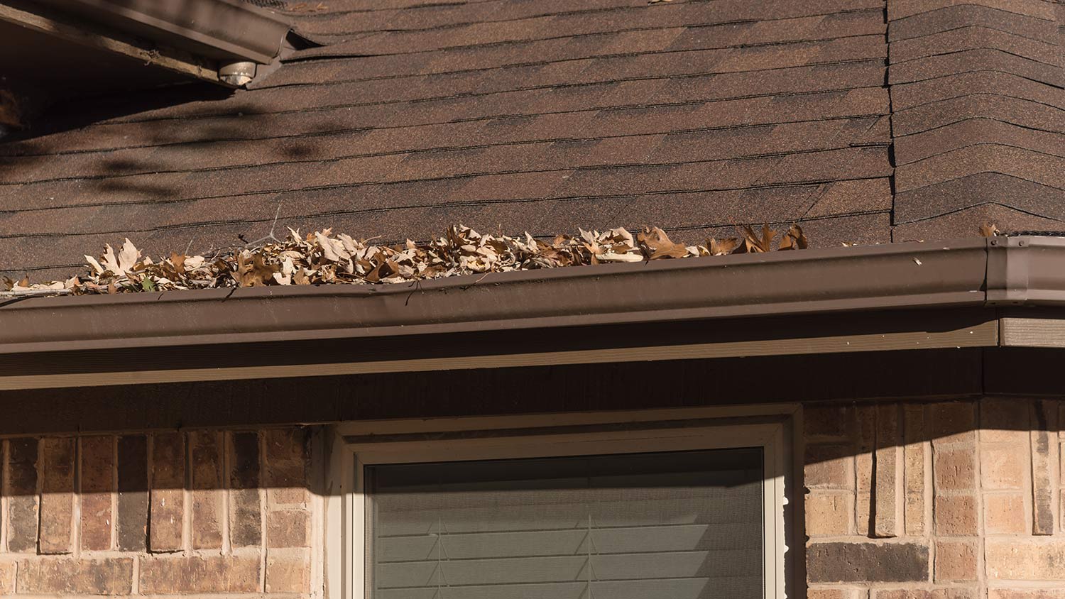 None Brick house with gutters full of leaves
