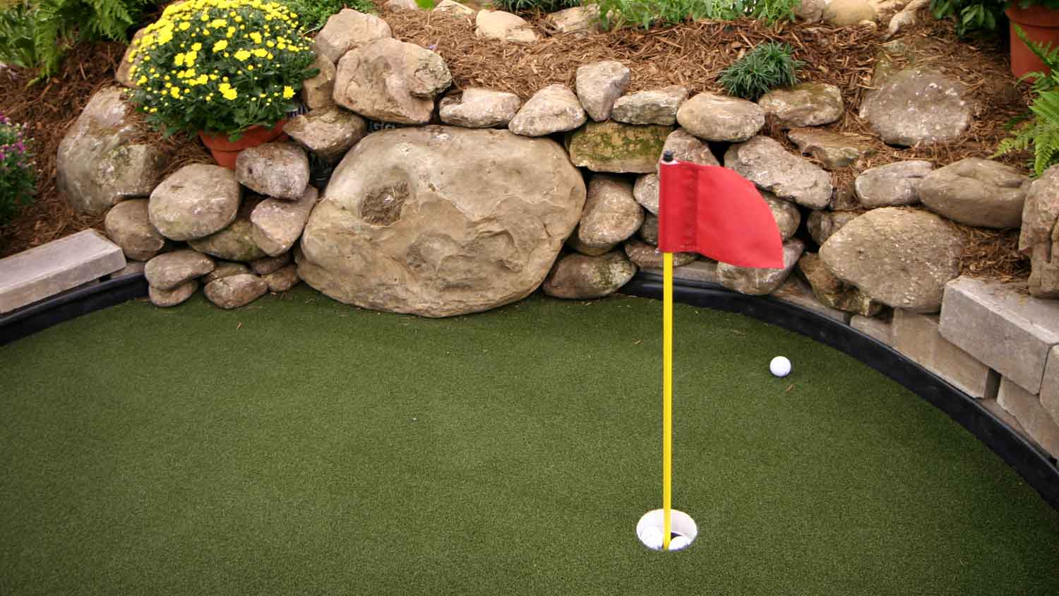None A backyard putting green