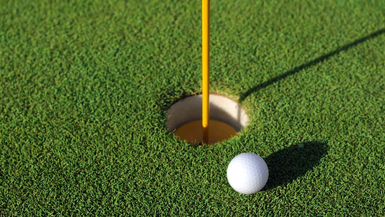 None Close-up of a golf ball next to the hole
