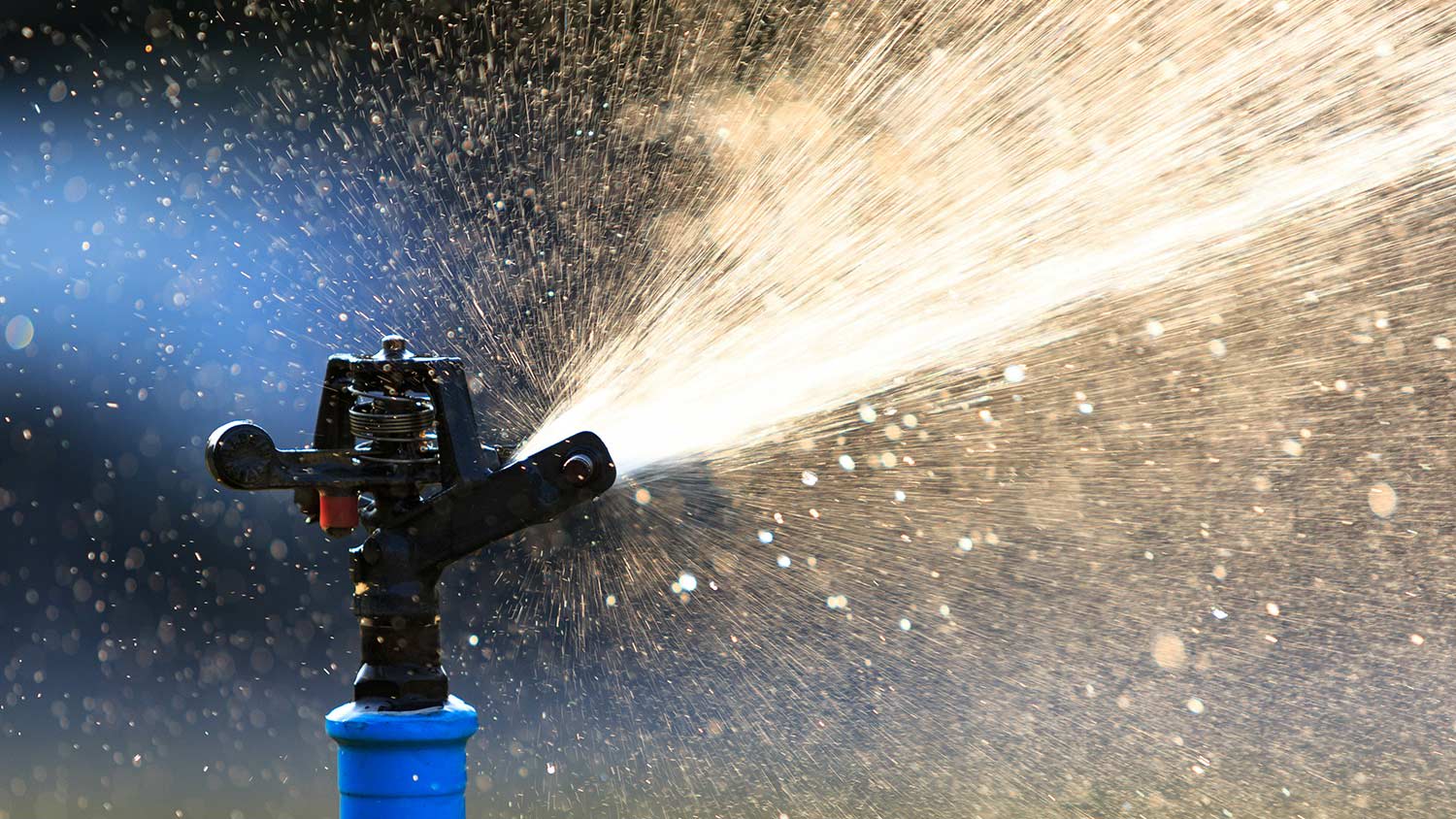 None View of impact sprinkler head