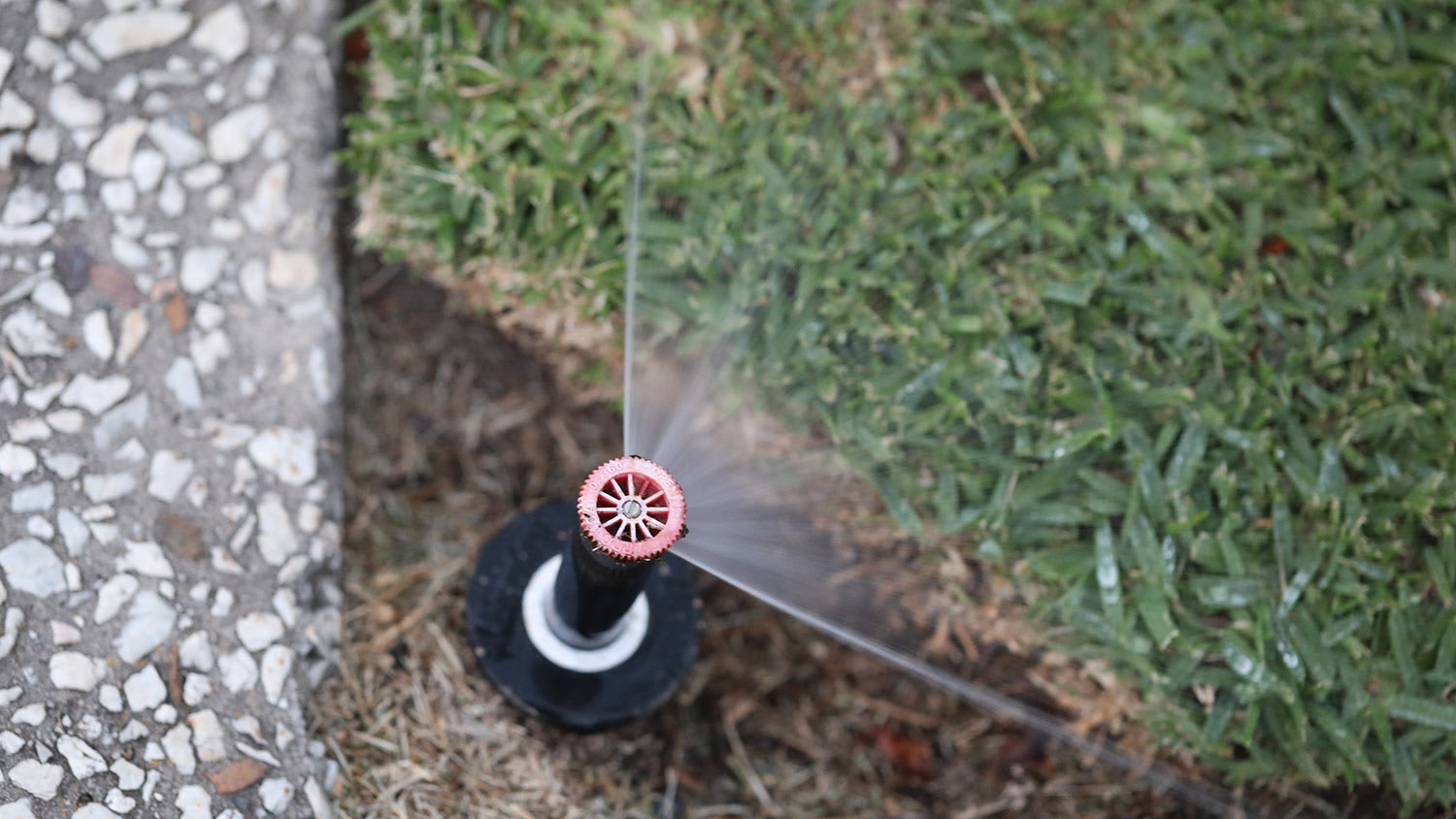 None A water sprinkler on the ground