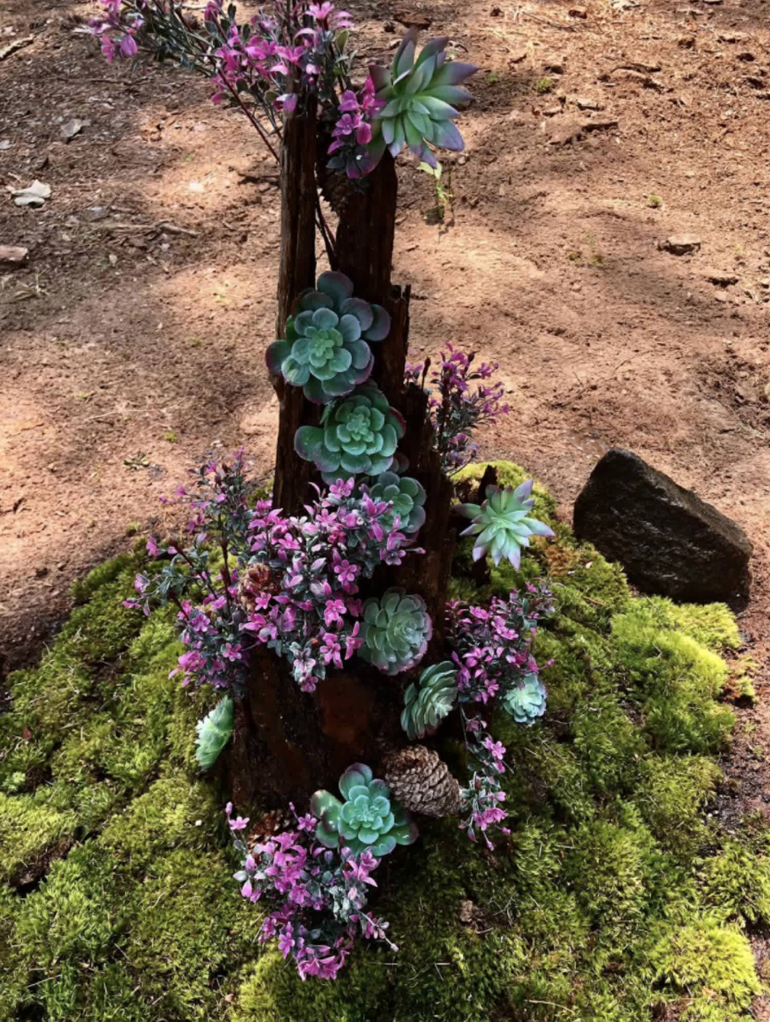 None A fairy garden oasis