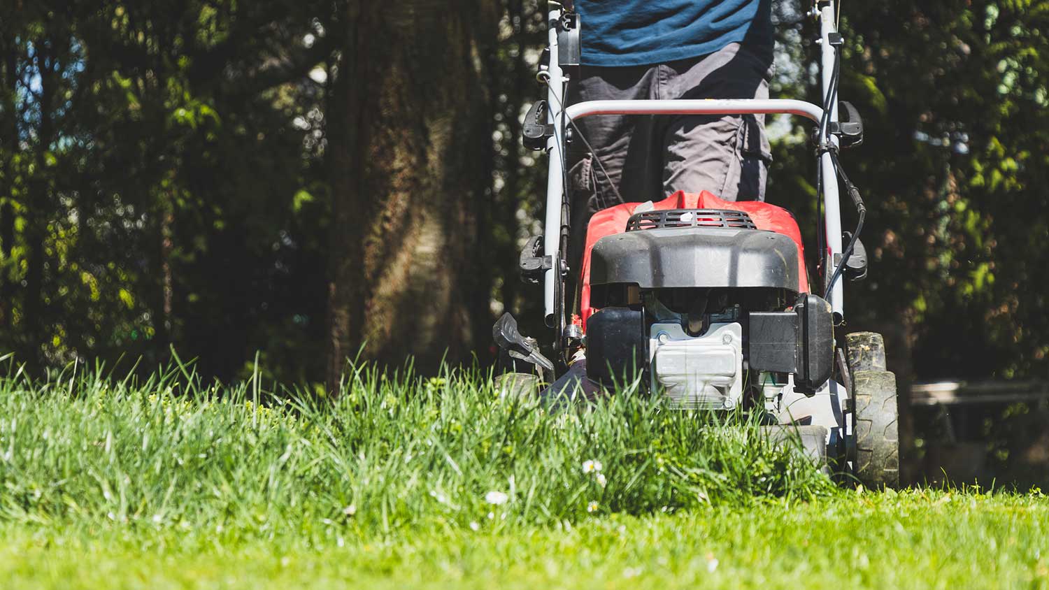 None Mowing tall grass in the yard