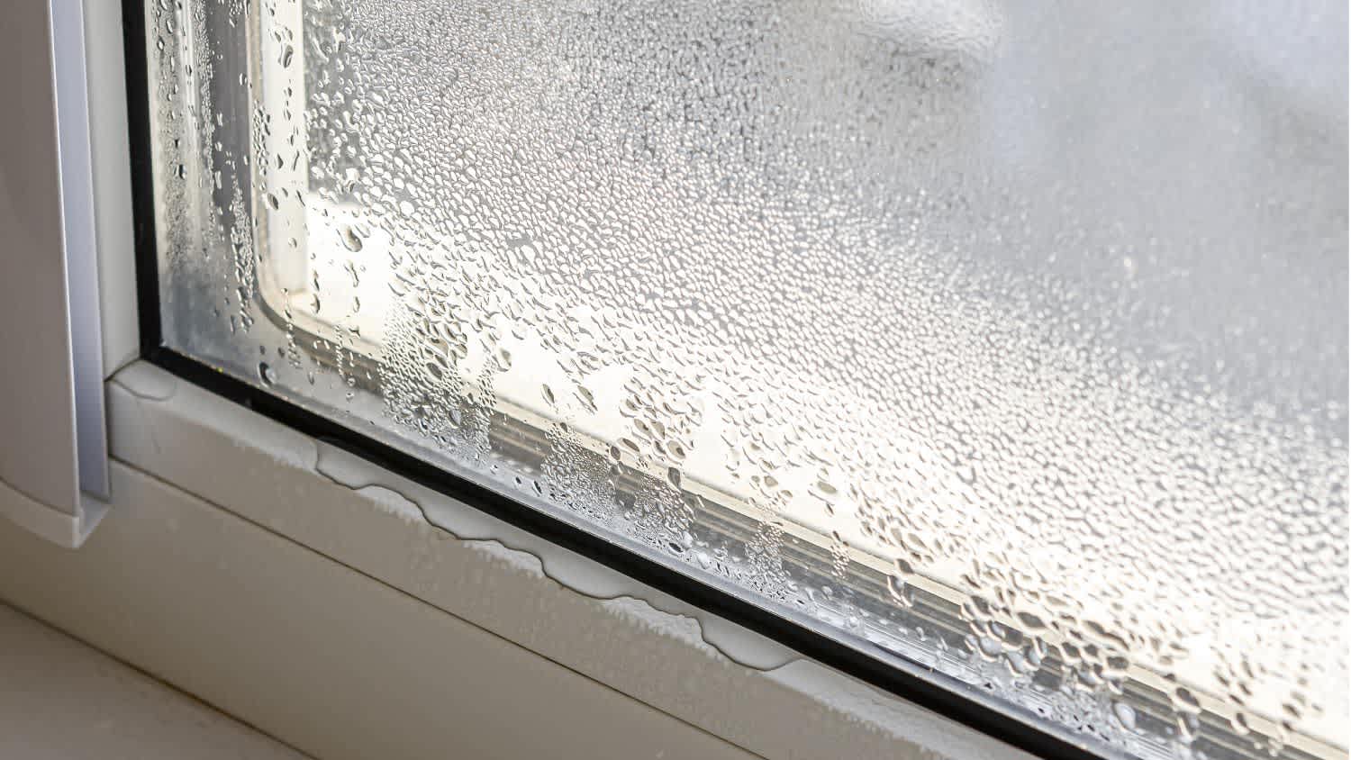 Drops of condensate and black mold on a window