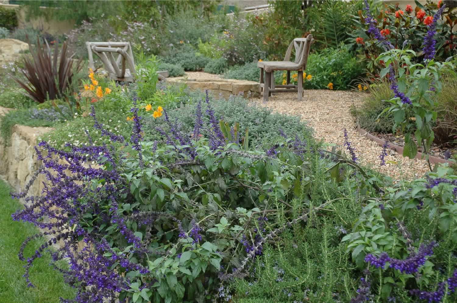 Drought-tolerant plants