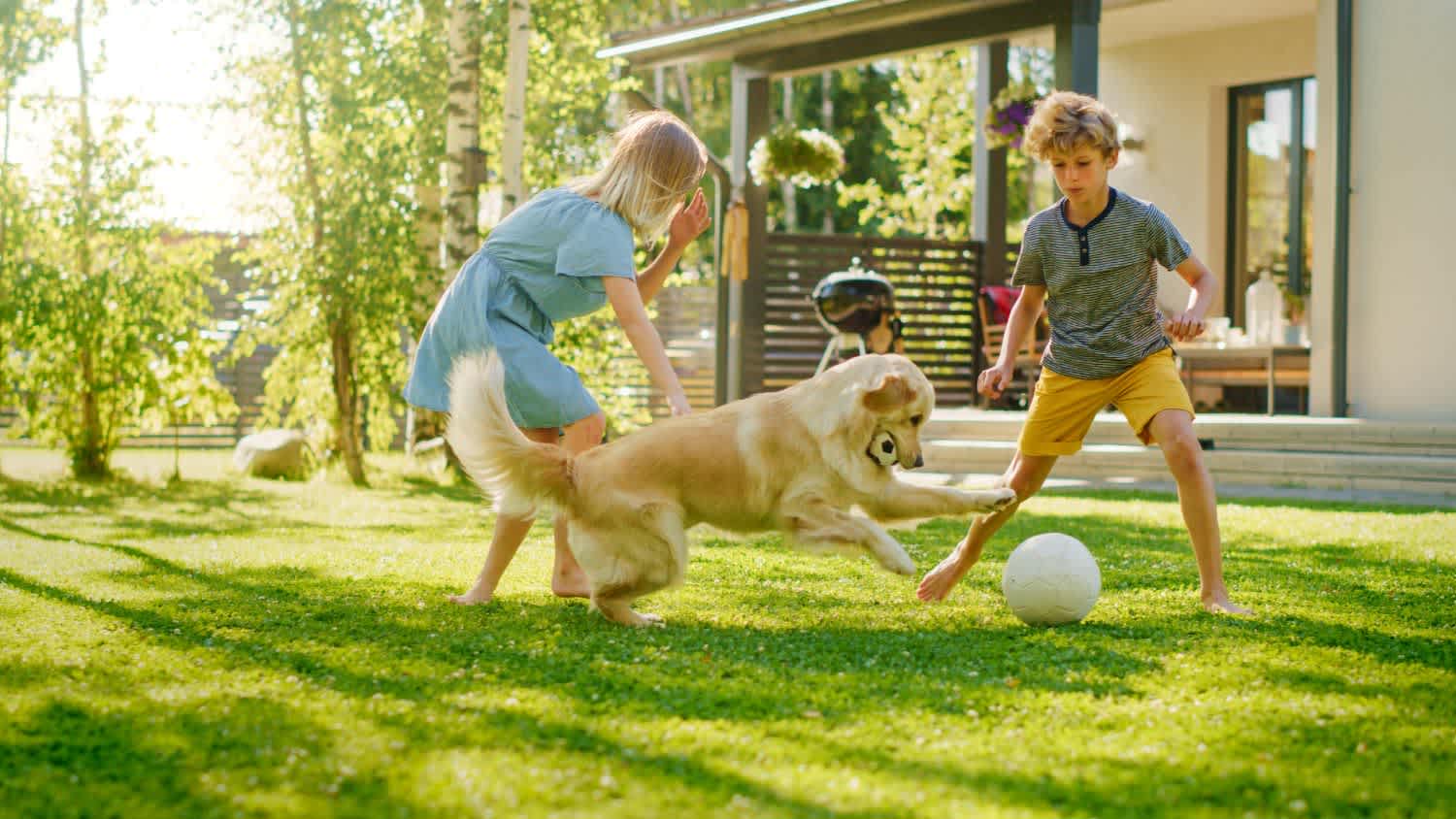 Two kids have fun with their dog