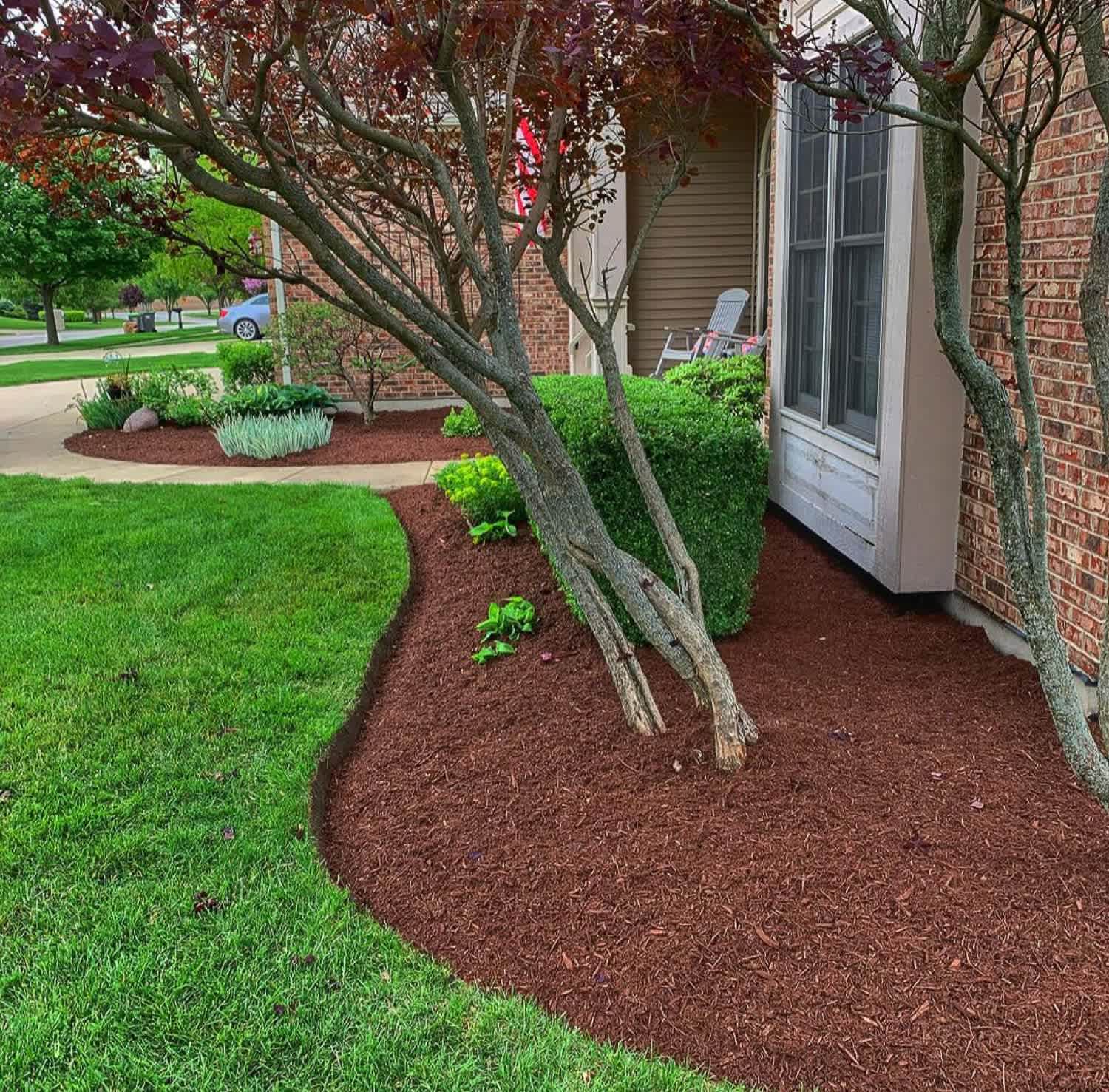 A garden with fresh mulch