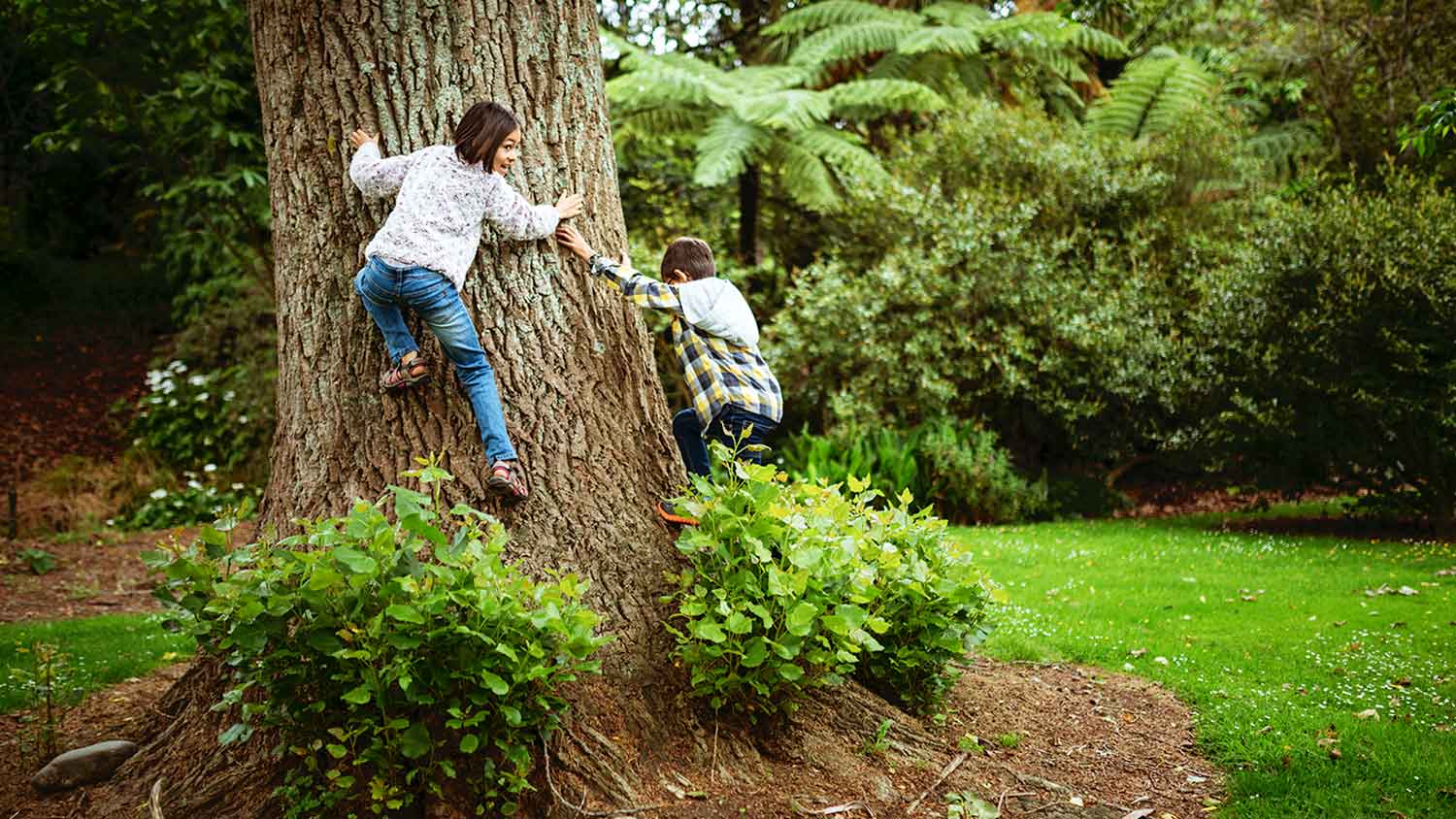 Children playing on a tree