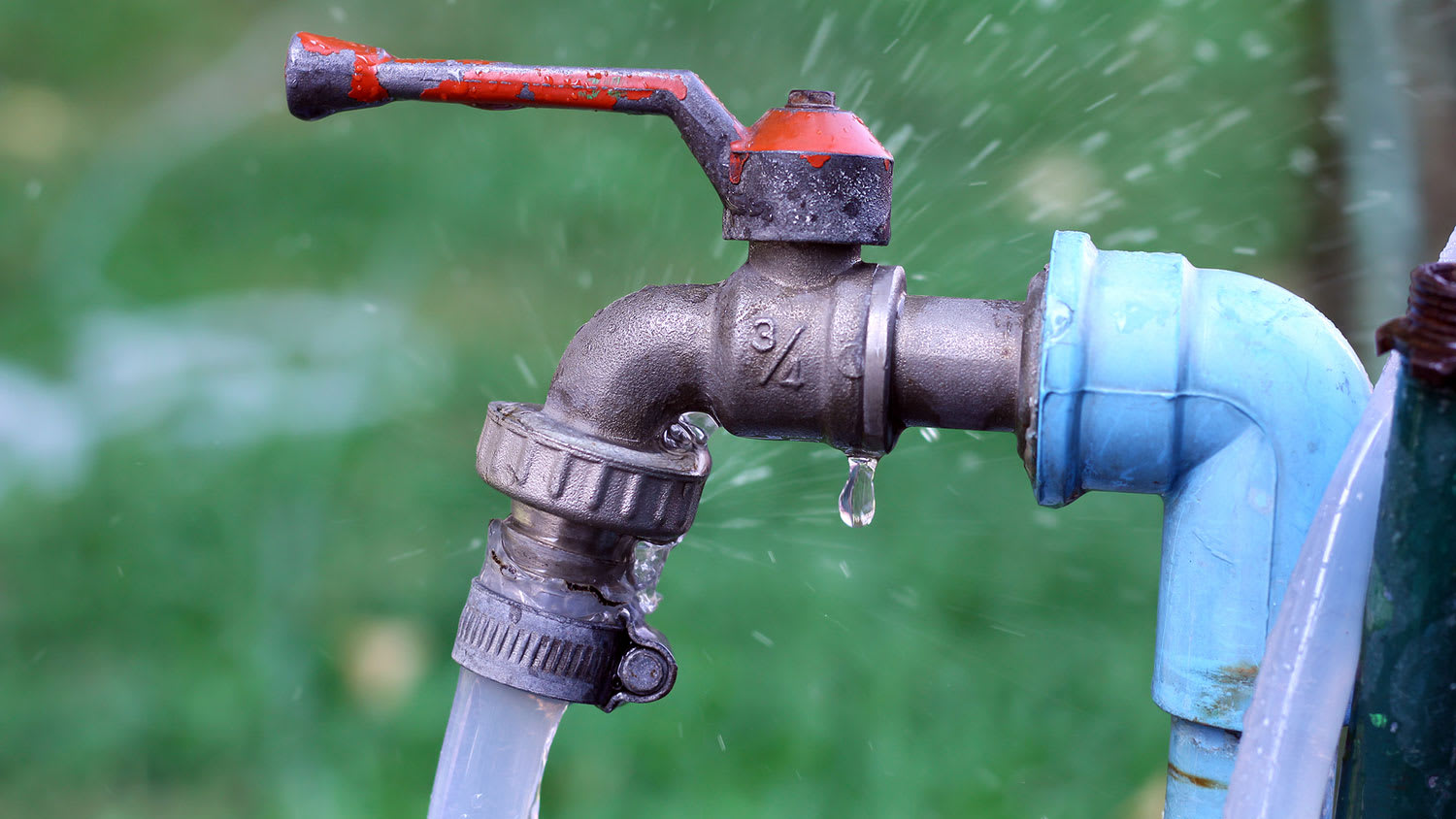 Closeup of a leaking garden hose connected to the spigot