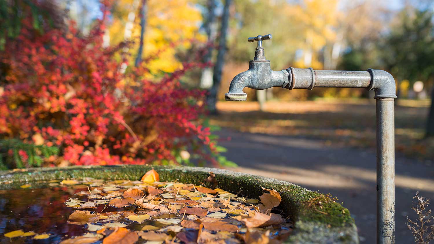 Rustic steel faucet over stone bird bath