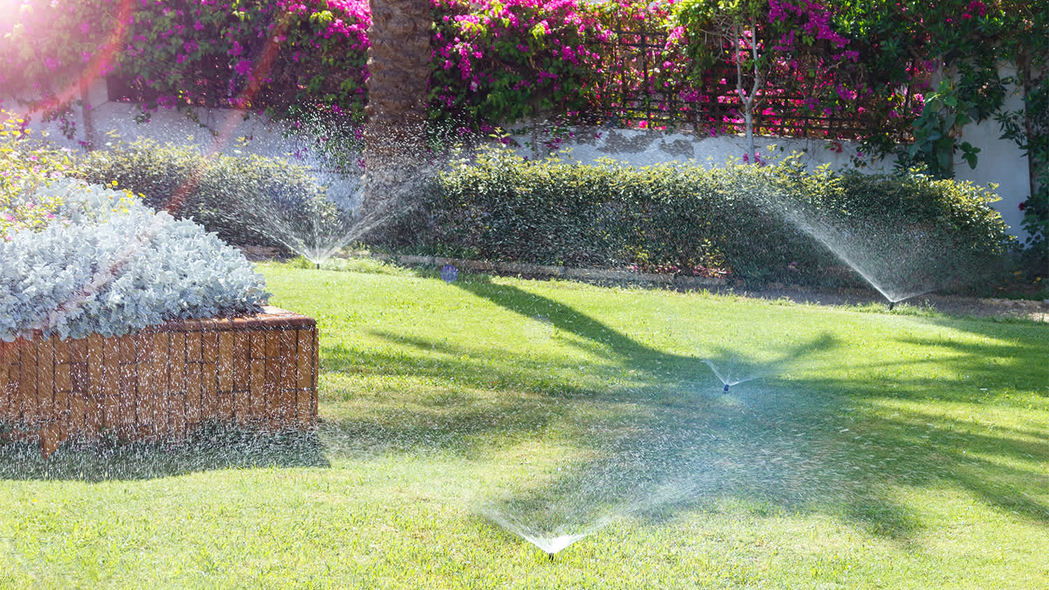 sprinkler watering lawn and flowers