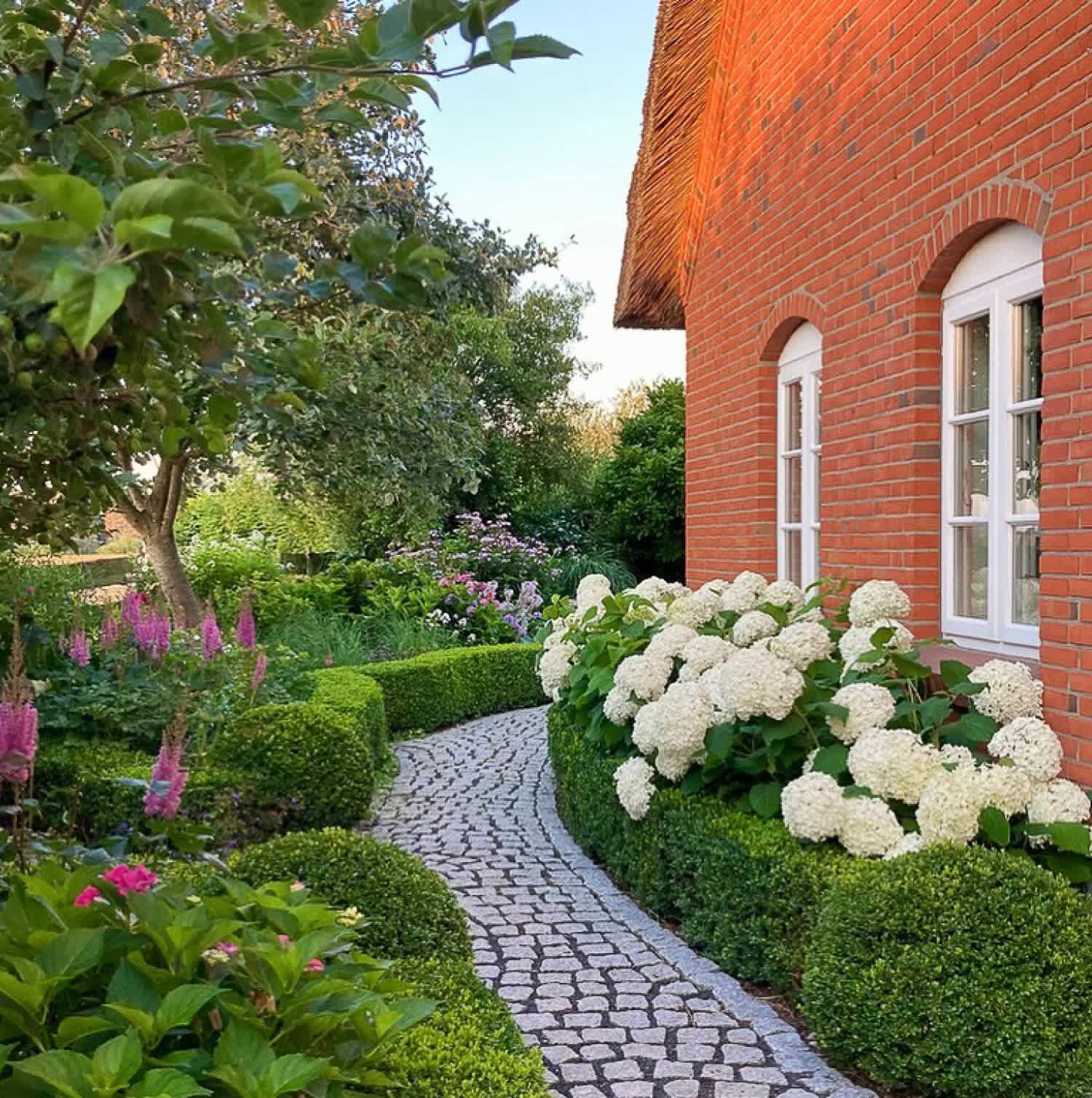 A hortensia hedge bush