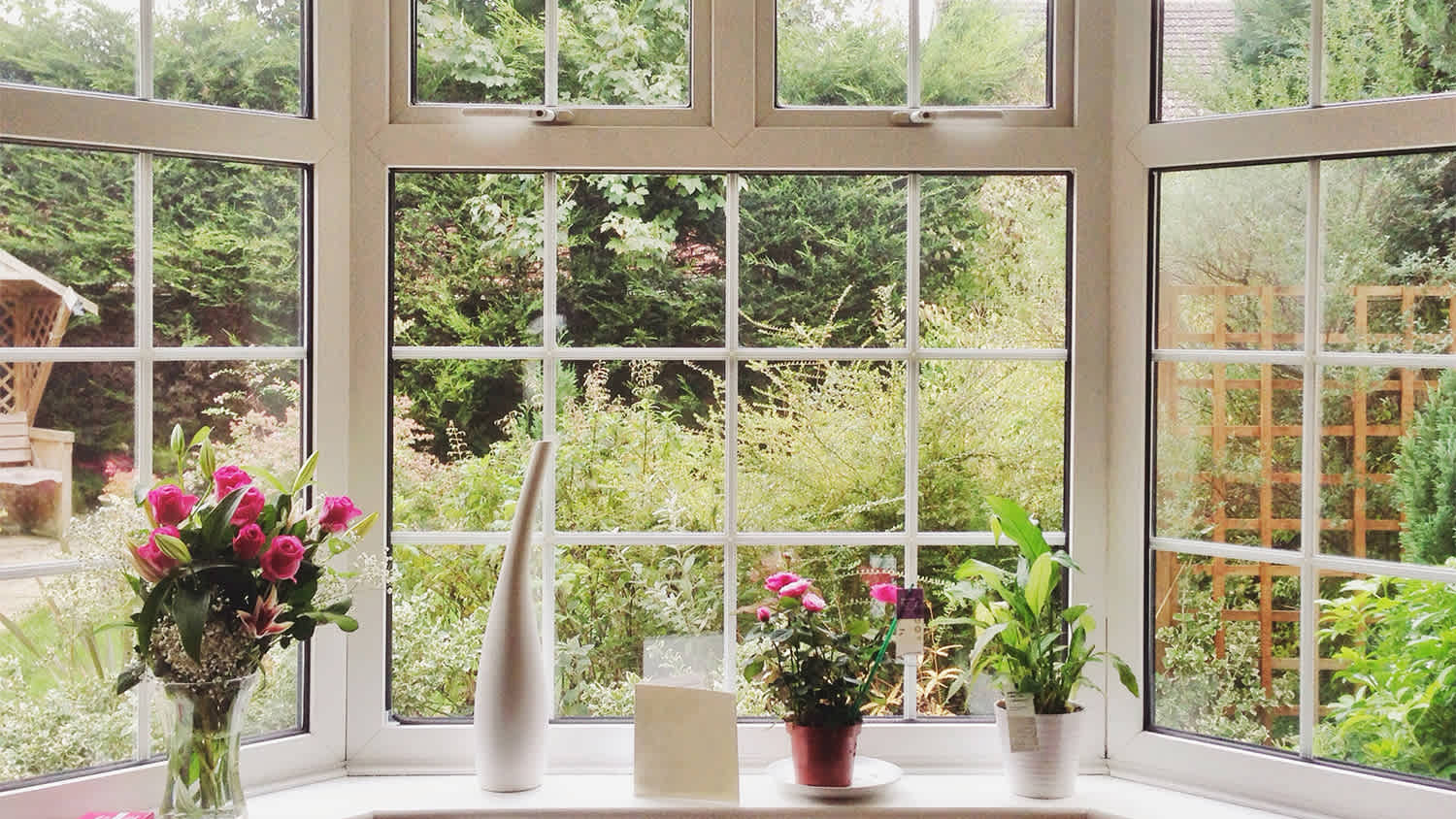 flowers on bay window sill