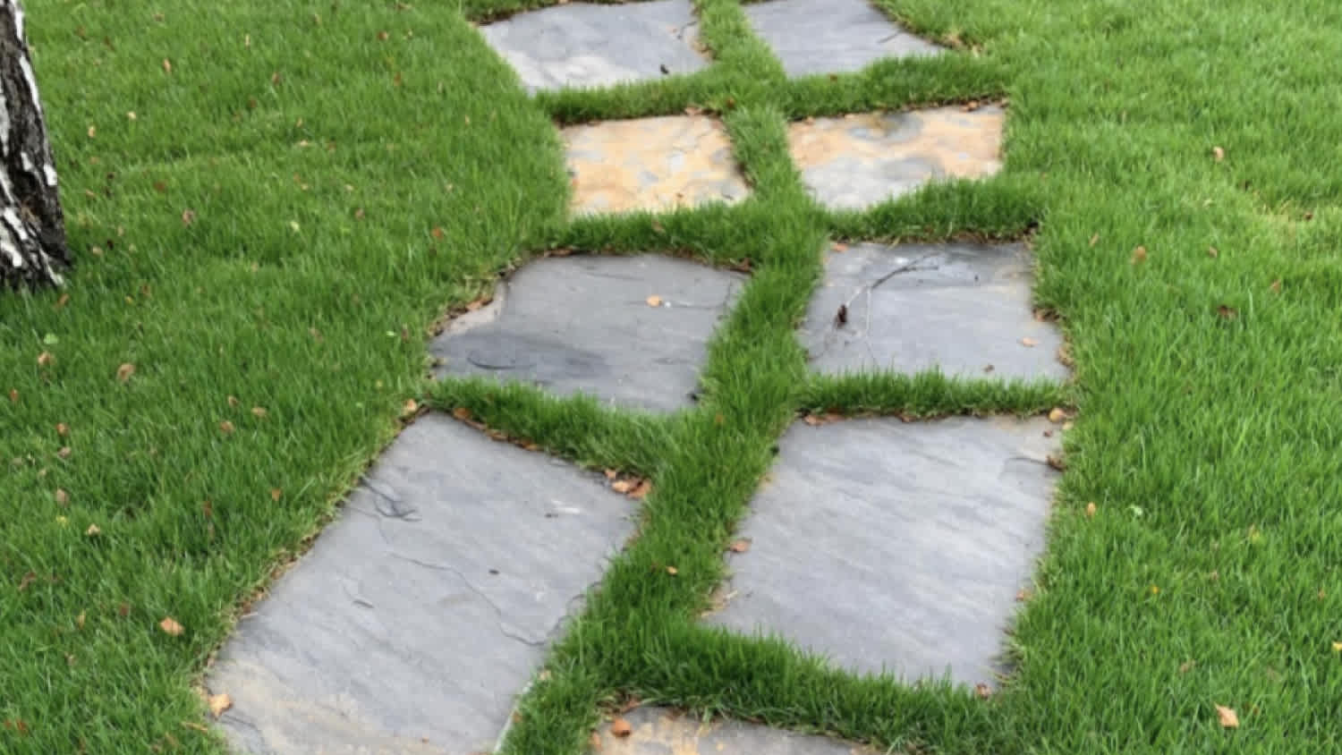 A traditional cottage garden’s stepping stone path